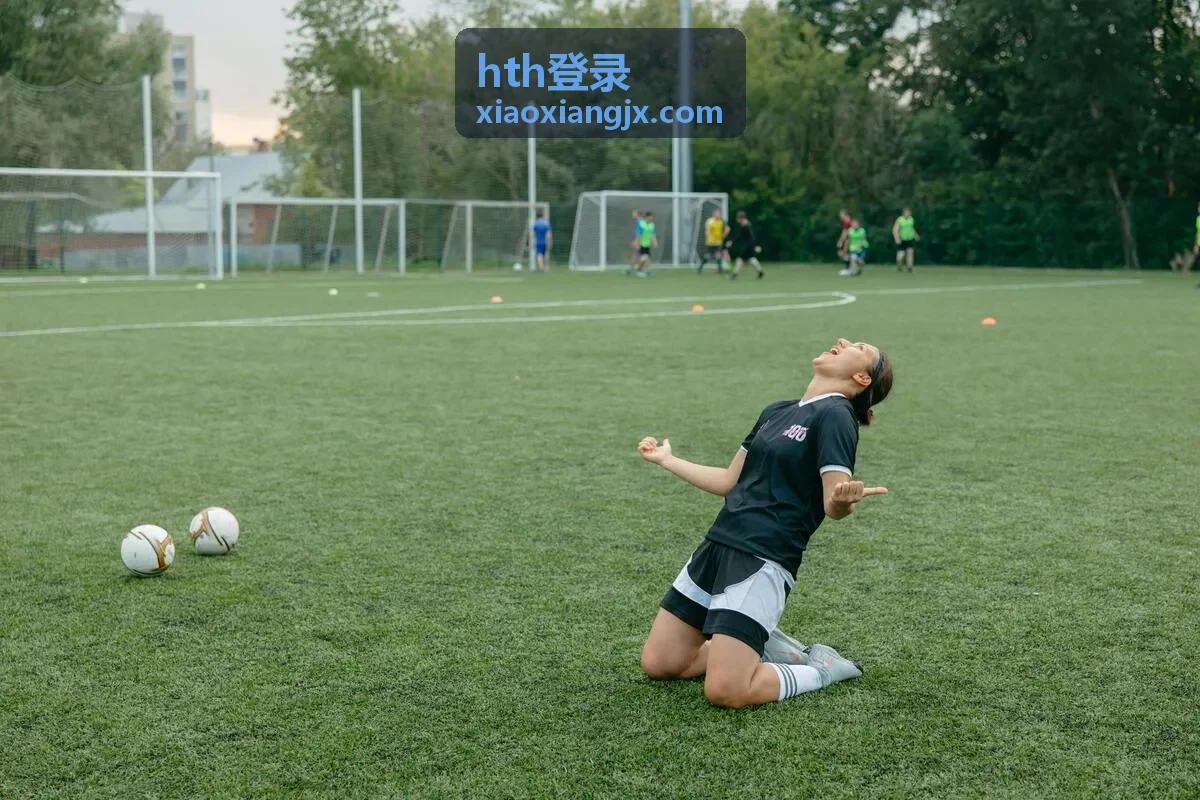 hth登录 登录留痕线索封面