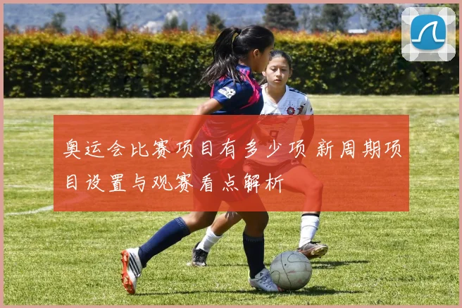 奥运会比赛项目有多少项 新周期项目设置与观赛看点解析