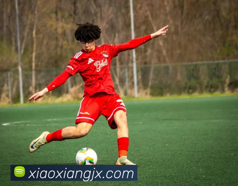 多媒体互动体验